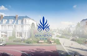 شركة ماونتن فيو Mountain View