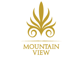 شركة ماونتن فيو Mountain View